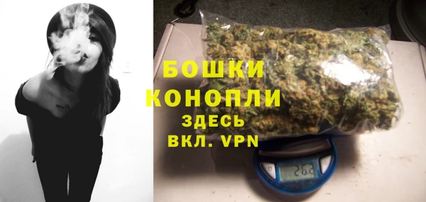 альфа пвп Медногорск