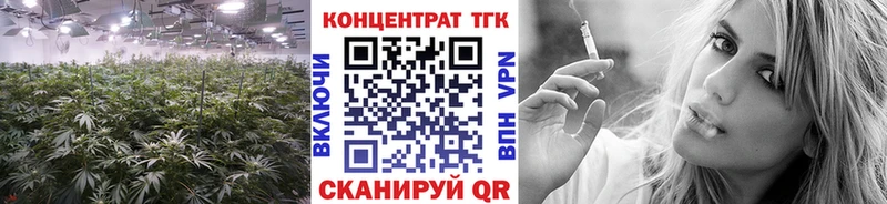 закладка  Питкяранта  ТГК Wax 